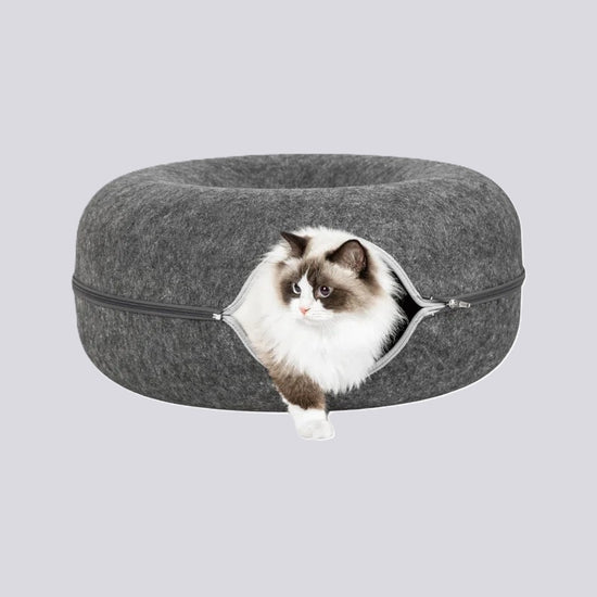 Graphite Feline Funnel™