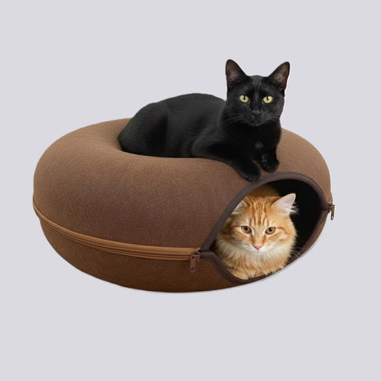 Oak Feline Funnel™