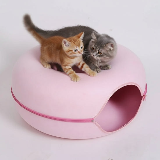 Magenta Feline Funnel™