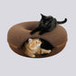 Oak Feline Funnel™