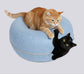 Sky Blue Feline Funnel™
