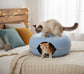 Sky Blue Feline Funnel™