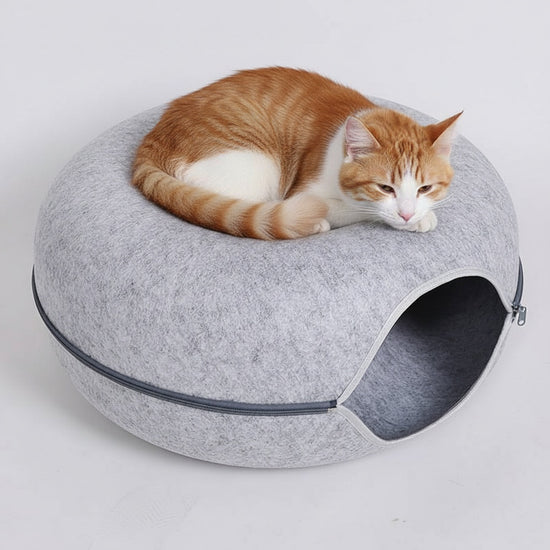 Silver Mist Feline Funnel™