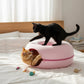 Magenta Feline Funnel™