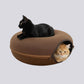 Oak Feline Funnel™
